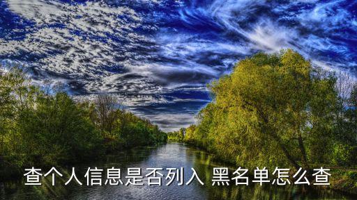 失信人員黑名單查詢(xún)