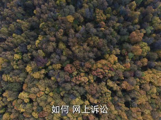 如何 網(wǎng)上訴訟
