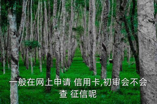 一般在網(wǎng)上申請 信用卡,初審會不會查 征信呢