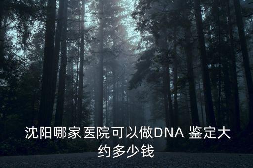 沈陽親子鑒定