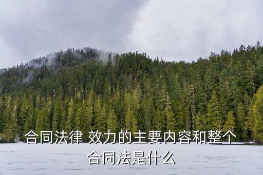 合同法的效力有哪些,民法典合同法效力