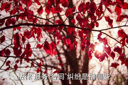 法律 服務(wù) 合同 糾紛是指哪些