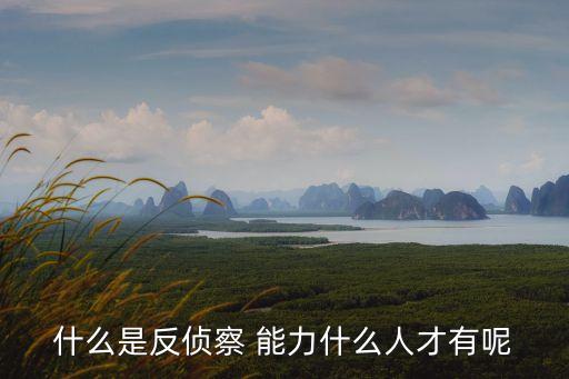 什么是反偵察 能力什么人才有呢