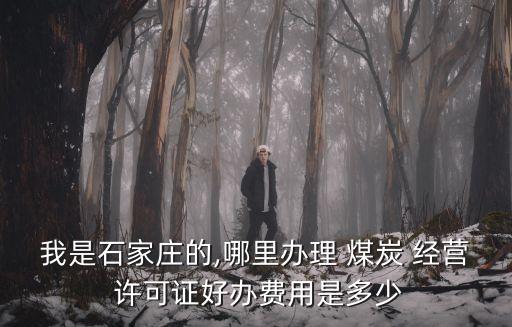 我是石家莊的,哪里辦理 煤炭 經(jīng)營 許可證好辦費(fèi)用是多少