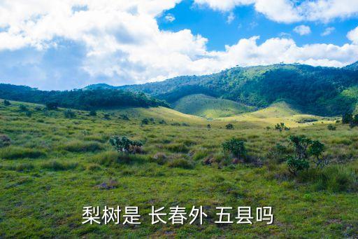 梨樹(shù)是 長(zhǎng)春外 五縣嗎