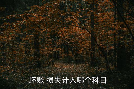 壞賬損失