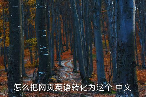 怎么把網(wǎng)頁英語轉(zhuǎn)化為這個(gè) 中文