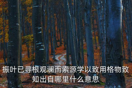 振葉已尋根觀瀾而索源學以致用格物致知出自哪里什么意思