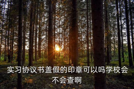 畢業(yè)實(shí)習(xí)蓋章