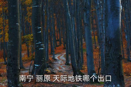 南寧 麗原 天際地鐵哪個(gè)出口