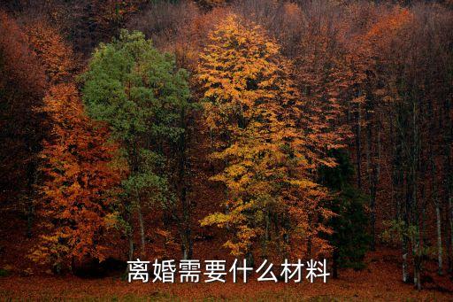 離婚需要什么
