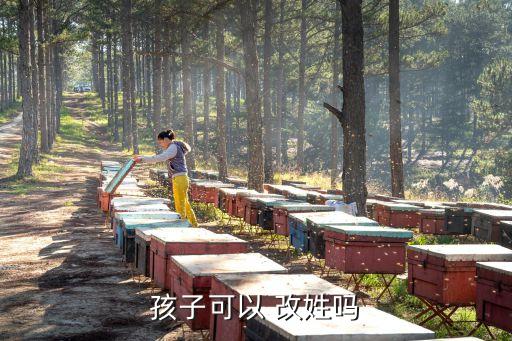 孩子可以 改姓嗎