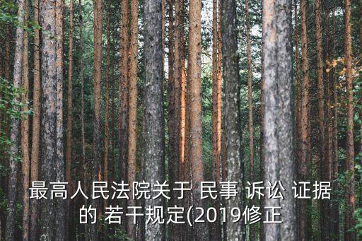 最高人民法院關(guān)于 民事 訴訟 證據(jù)的 若干規(guī)定(2019修正