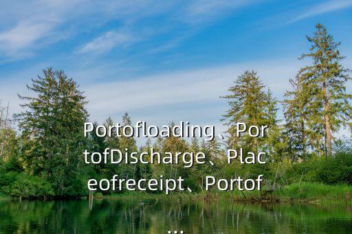 Portofloading、PortofDischarge、Placeofreceipt、Portof...