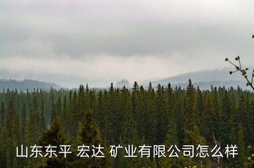 宏達(dá)礦業(yè),600532宏達(dá)礦業(yè)