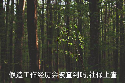 假造工作經歷會被查到嗎,社保上查