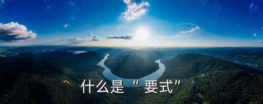 什么是“ 要式”