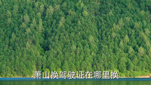  蕭山換駕駛證在哪里換