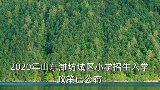 2020年山東濰坊城區(qū)小學招生入學政策已公布