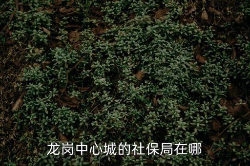 深圳市社會保險基金管理局