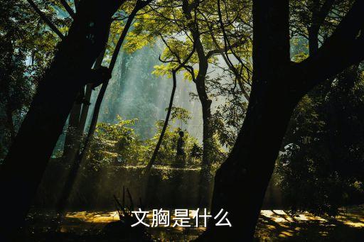 胸罩照片