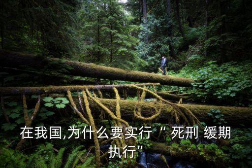 在我國,為什么要實行“ 死刑 緩期執(zhí)行”