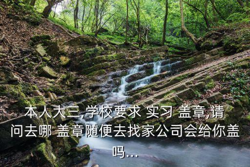 本人大三,學(xué)校要求 實(shí)習(xí) 蓋章,請(qǐng)問(wèn)去哪 蓋章隨便去找家公司會(huì)給你蓋嗎...