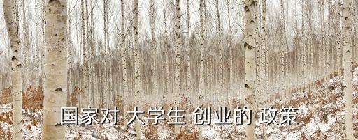 大學生自主創(chuàng)業(yè)優(yōu)惠政策,請查詢解答大學生自主創(chuàng)業(yè)優(yōu)惠政策