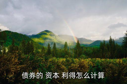 債券的 資本 利得怎么計算
