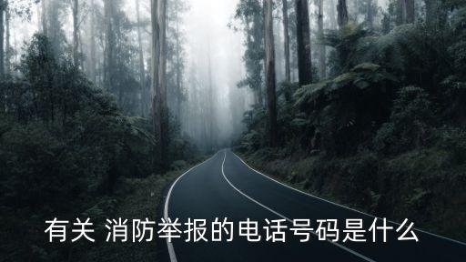 北京市消防局,張先來 北京市消防局