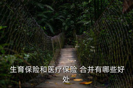  生育保險和醫(yī)療保險 合并有哪些好處