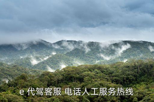 附近代駕電話,代駕電話人工服務95066