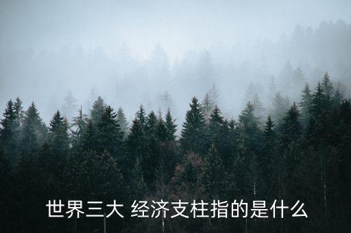  世界三大 經(jīng)濟(jì)支柱指的是什么