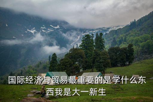 國際商法教材英文版