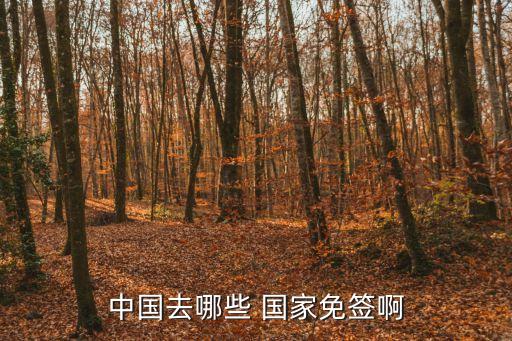中國免簽證國家,2023對中國免簽證國家