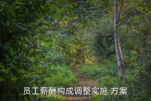 員工薪酬構(gòu)成調(diào)整實(shí)施 方案