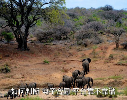 如何判斷 電子合同 平臺(tái)靠不靠譜