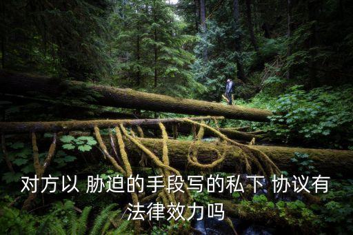 對方以 脅迫的手段寫的私下 協(xié)議有法律效力嗎