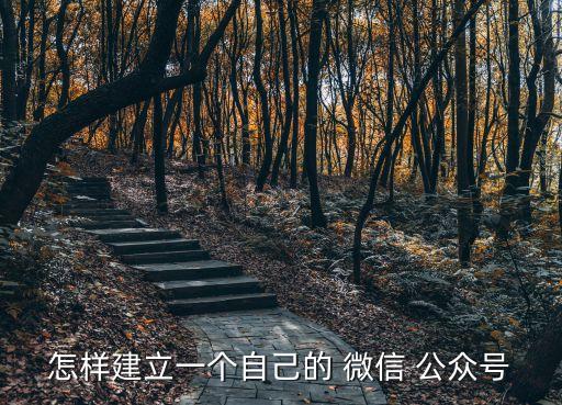 微信公眾號(hào)怎么弄,制作自己的微信公眾號(hào)怎么弄