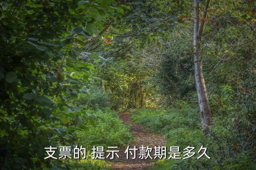 提示付款期限