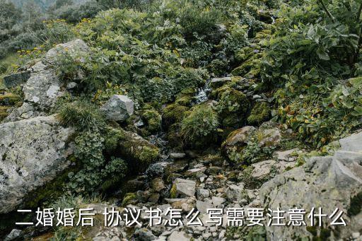 子女撫養(yǎng)協(xié)議書男方再婚模板,非婚子女撫養(yǎng)協(xié)議書模板
