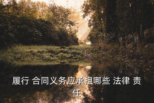 履行 合同義務應承擔哪些 法律 責任