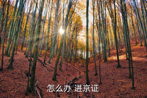 怎么辦 進(jìn)京證