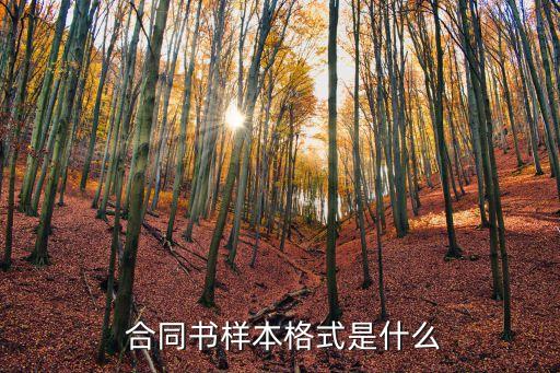 法律合同模板下載,法律咨詢服務(wù)合同模板