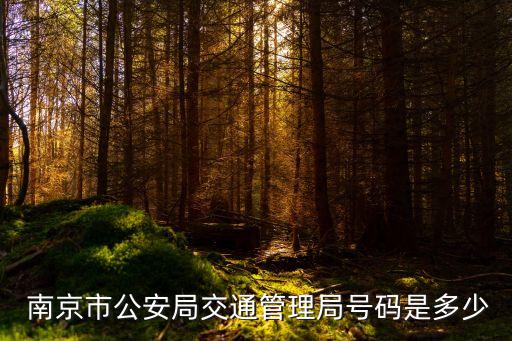 南京交警