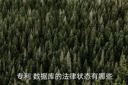  專利 數(shù)據(jù)庫(kù)的法律狀態(tài)有哪些