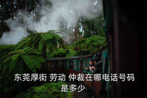 東莞勞動仲裁在線咨詢,12333勞動仲裁管用嗎