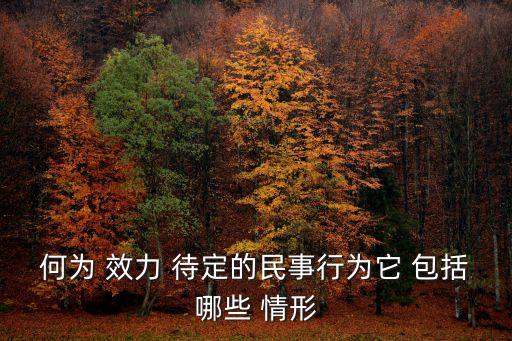 何為 效力 待定的民事行為它 包括哪些 情形