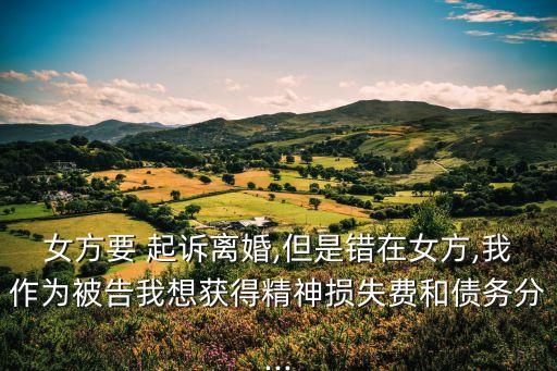 女方要 起訴離婚,但是錯在女方,我作為被告我想獲得精神損失費和債務分...