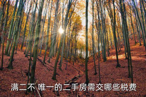 滿(mǎn)二不唯一要交多少稅,100萬(wàn)房子滿(mǎn)二不唯一要交多少稅